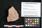 Foto (Objekt + Etikett) von Rhytisma feroniae Ettingshausen (NHMW-GEO-2024-0188-6388)